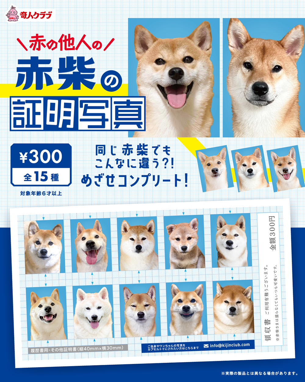 赤の他人の赤柴の証明写真